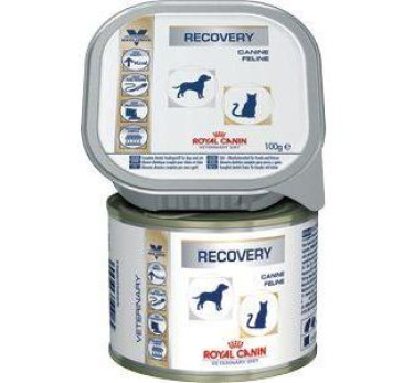 Royal Canin Recovery Canine для взрослых собак и кошек